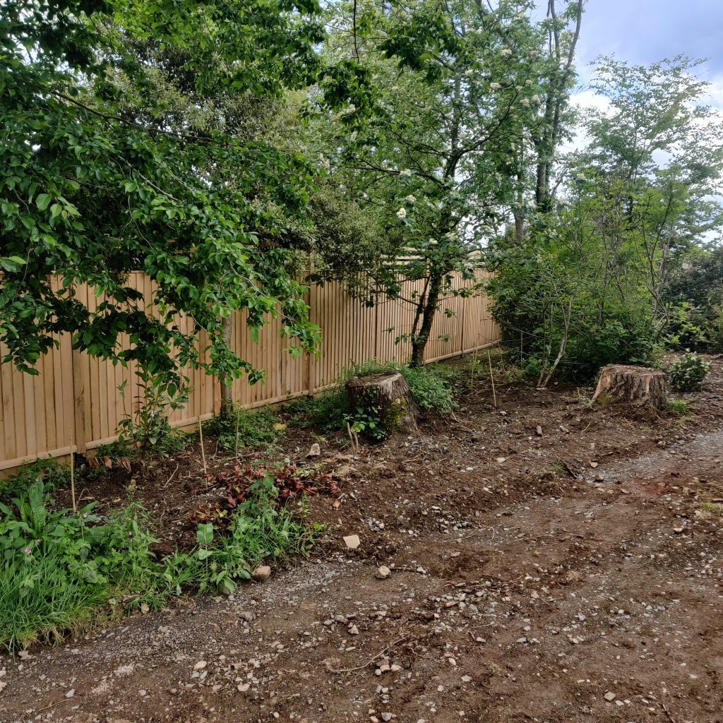 Photo of a garden with trees that are covering Oak Featheredge Fence Panels with rails on top running along the garden