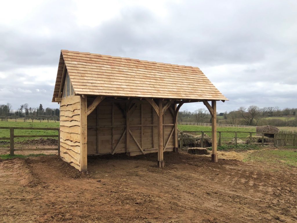An outbuilding created using fresh sawn green oak beams and waney edged boards to clad the building.